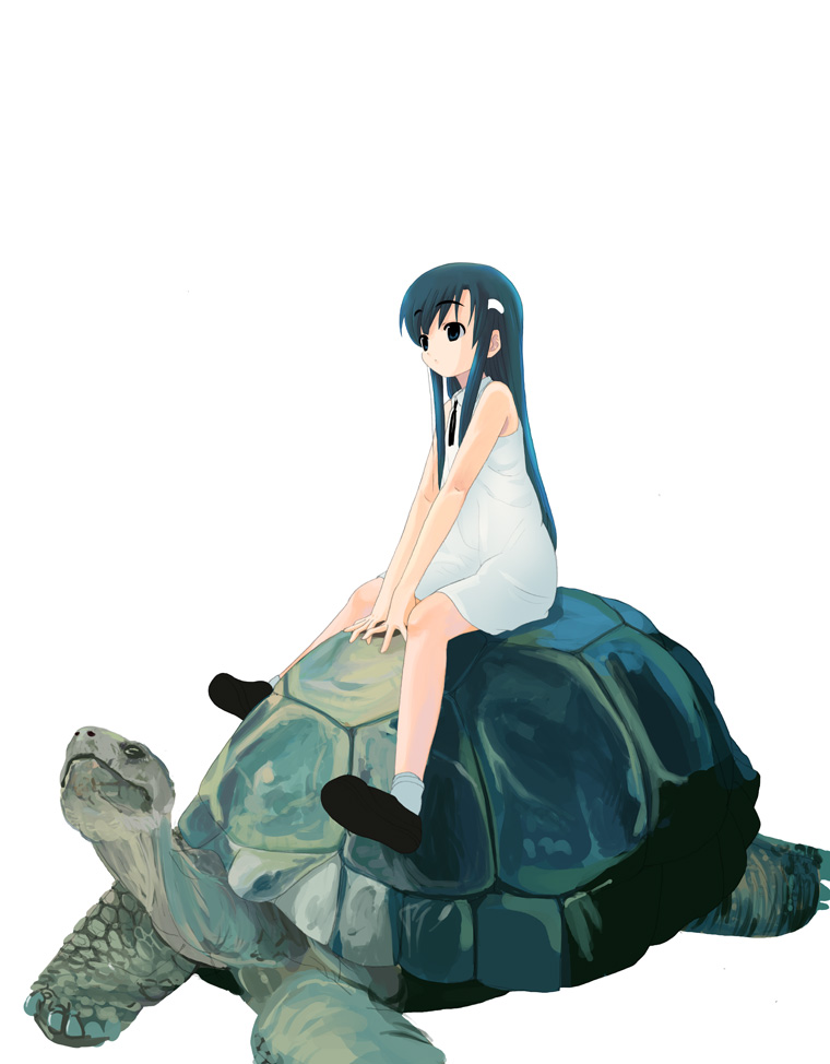 houmitsu, original, 1girl, black hair, dress, expressionless, female focus, hair ornament, hairclip, long hair, necktie, riding, shoes, short dress, sidelocks, simple background, size difference, sleeveless, sleeveless dress, socks, solo, tortoise, turtle, v arms, very long hair