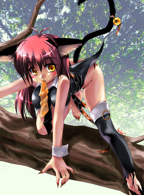 original, 1girl, animal ears, black panties, black thighhighs, blush, cat ears, cat girl, cat tail, day, female focus, fingernails, in tree, long fingernails, long toenails, mouth hold, outdoors, panties, sharp fingernails, sharp toenails, solo, tail, thighhighs, toenails, torn clothes, torn thighhighs, tree, underwear
