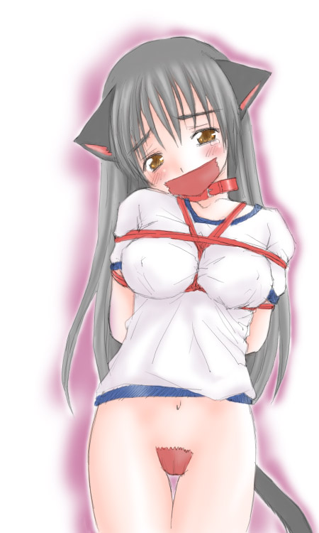 koneko (sakuraweb), original, silver hair, 1girl, animal ears, bdsm, bondage, bound, cat ears, cat tail, collar, female focus, gym uniform, maebari, solo, tail