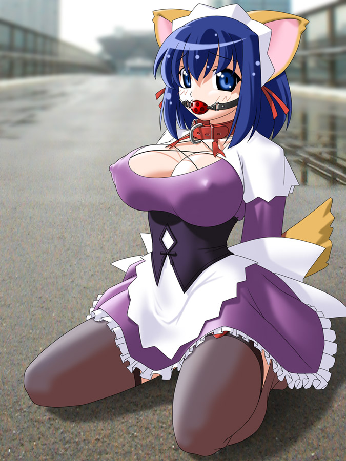delica, kokubunji koyori, nurse witch komugi-chan, 00s, 1girl, animal ears, ball gag, bdsm, bondage, bound, breasts, buckle, cat ears, collar, covered erect nipples, female focus, gag, gagged, huge breasts, maid, purple skirt, raccoon ears, skirt, solo, thighhighs, wiffle gag