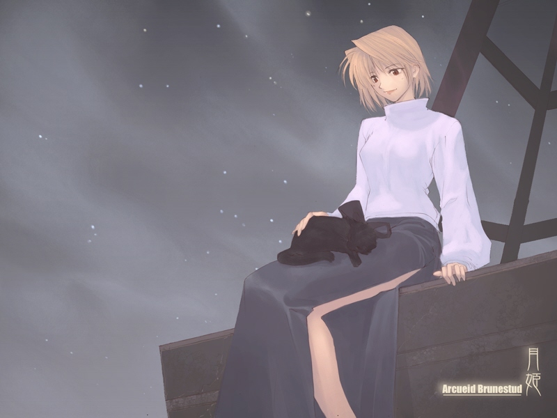 aikura chihiro, arcueid brunestud, len (cat) (tsukihime), len (tsukihime), tsukihime, black legwear, 00s, 1girl, black skirt, blonde hair, blue skirt, cat, character name, female focus, long skirt, night, outdoors, red eyes, short hair, side slit, sitting, skirt, smile, solo, star (sky), sweater, turtleneck