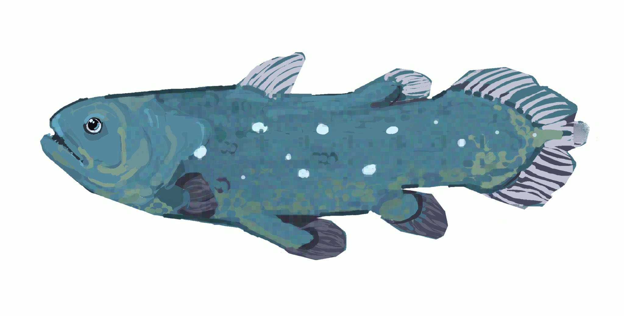 junbuug, original, commentary, english commentary, highres, animal focus, coelacanth, fish, no humans, painterly, simple background, spots, white background