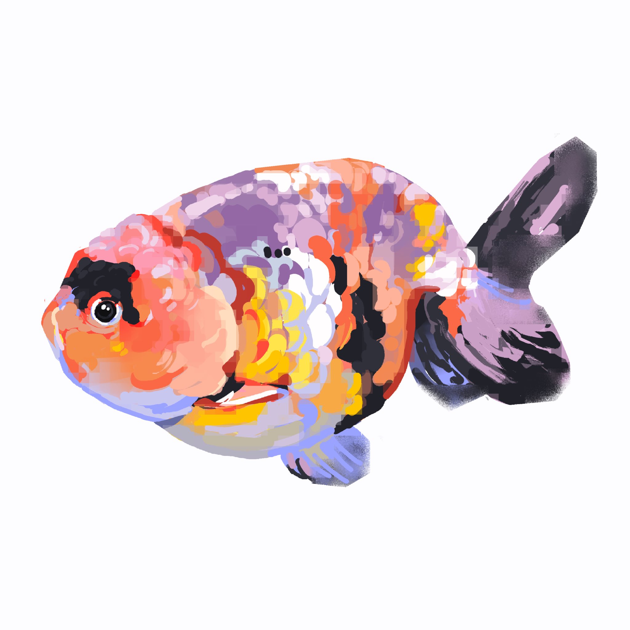 junbuug, original, highres, animal focus, fish, goldfish, looking at viewer, no humans, painterly, simple background, white background