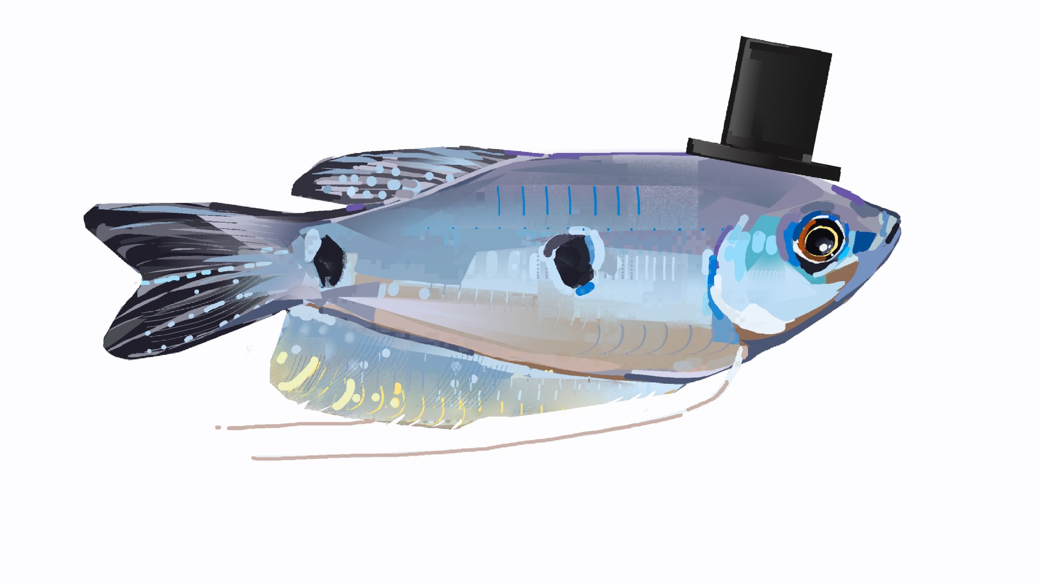 junbuug, original, commentary, english commentary, highres, animal focus, fish, gourami, hat, mini hat, mini top hat, no humans, painterly, simple background, top hat, white background