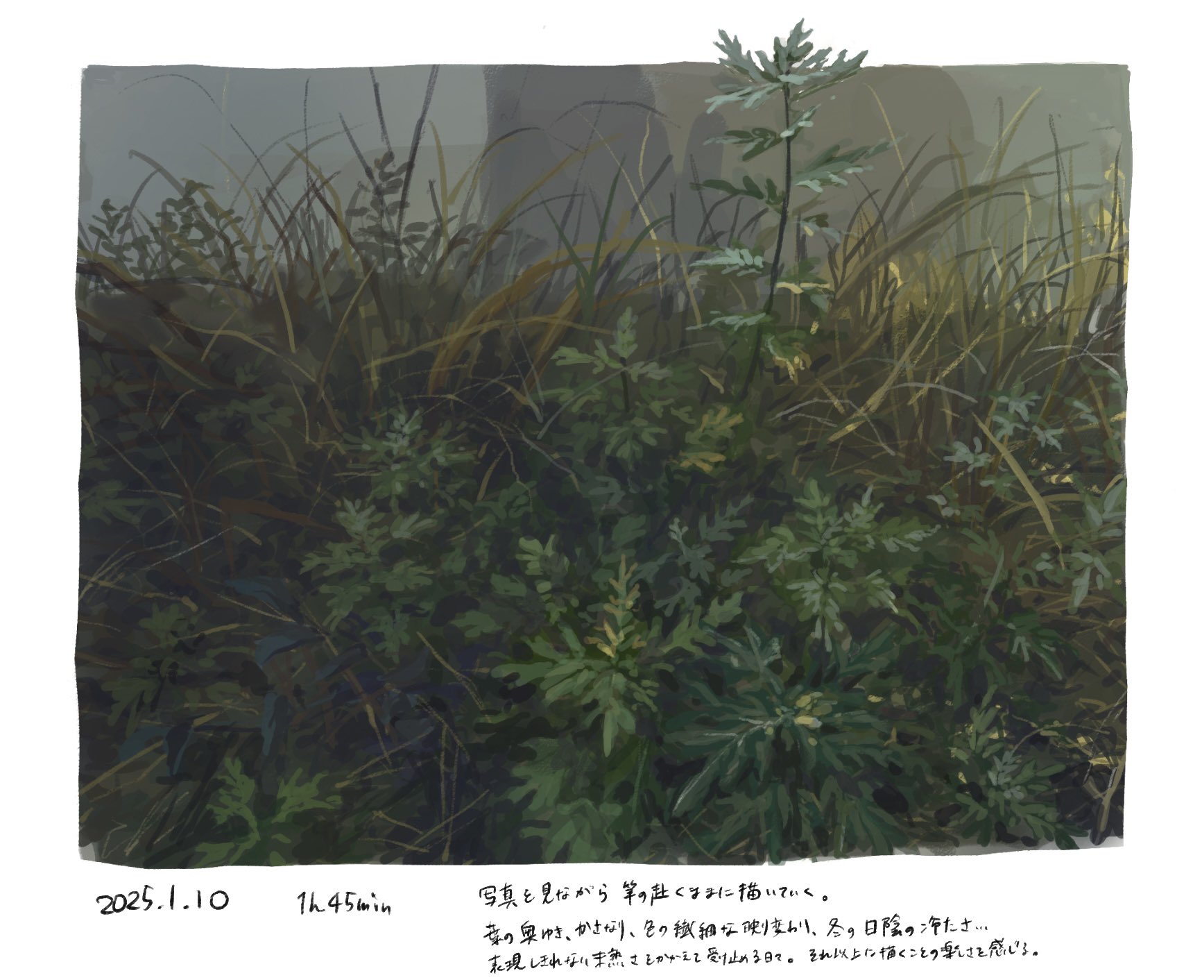 noki 0504, original, highres, painting (medium), traditional media, translation request, bush, fog, forest, grass, nature, no humans, outdoors, plant, plant focus, realistic, weeds