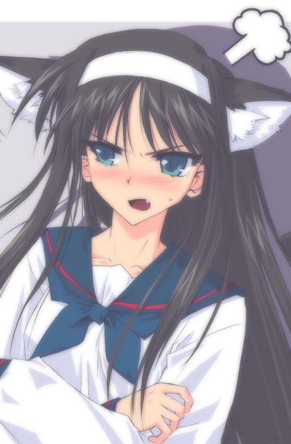 pin.x, tohno akiha, tsukihime, cropped, 00s, 1girl, animal ears, cat ears, female focus, solo