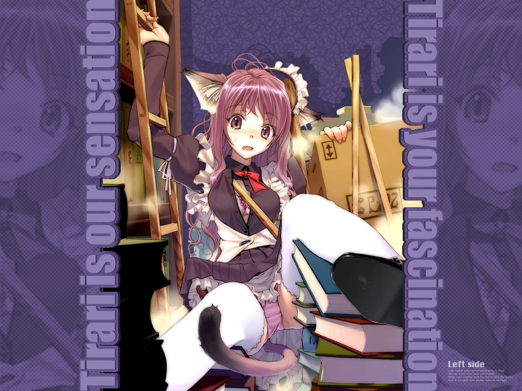 hidari (left side), original, 1girl, animal ears, apron, black dress, blush, book, bow, bra, cat ears, cat tail, clumsy, disheveled, dress, fallen down, fang, female focus, frilled thighhighs, frills, headdress, lingerie, maid, maid apron, open clothes, open dress, open shirt, panties, pantyshot, petticoat, pink panties, purple eyes, purple hair, purple panties, shirt, sitting, solo, striped clothes, striped panties, sweatdrop, tail, thighhighs, underwear, upskirt, white thighhighs