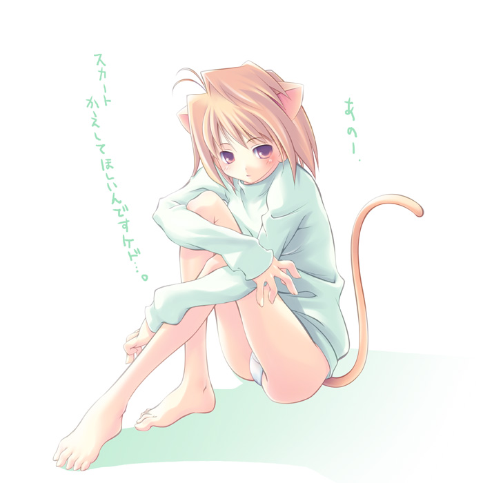 toruneko, arcueid brunestud, neco-arc, tsukihime, 00s, 1girl, animal ears, barefoot, blonde hair, bottomless, cat ears, cat tail, feet, female focus, green shirt, no pants, panties, pantyshot, shirt, sitting, solo, sweater, tail, underwear, white panties