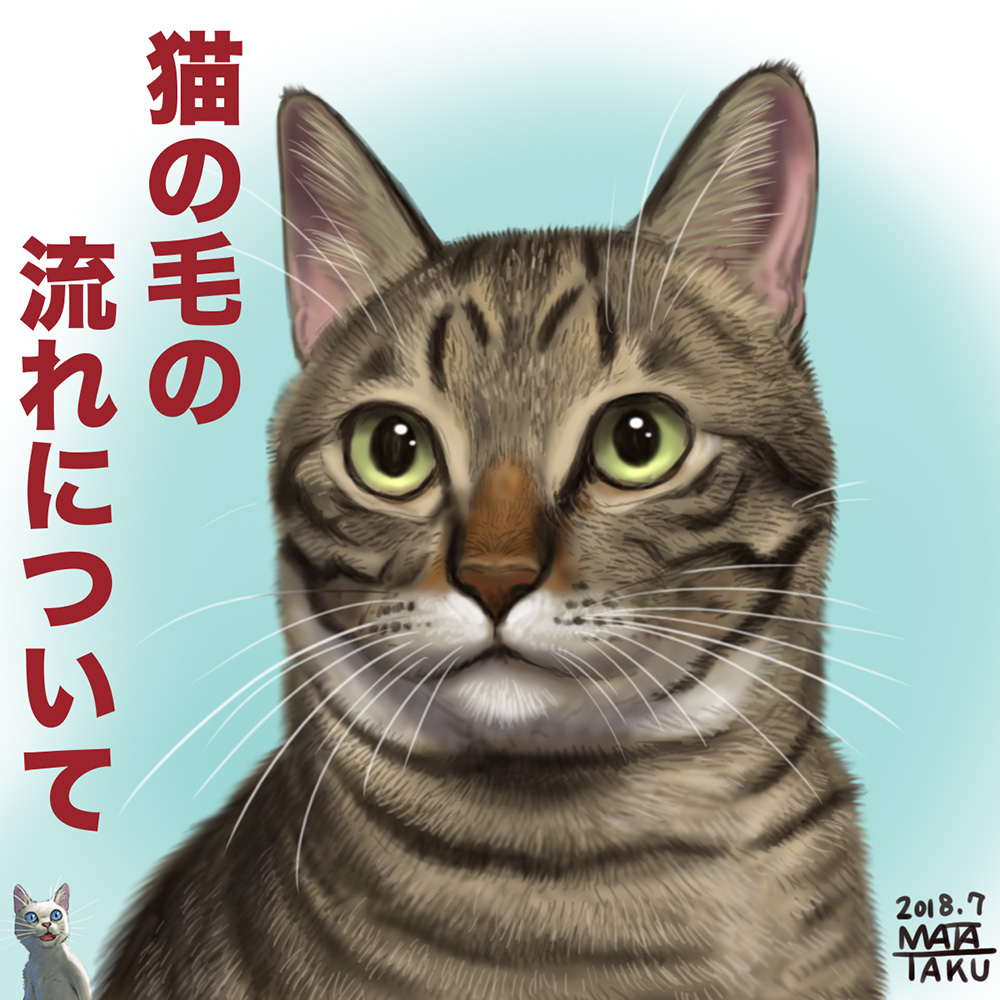 matataku, surprised cat (matataku), original, commentary request, translation request, animal, animal focus, artist name, cat, dated, grey cat, no humans, tabby cat, whiskers, white cat
