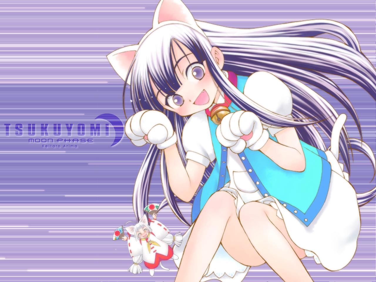 arima keitarou, hazuki (tsukuyomi), tsukuyomi moonphase, 00s, 1girl, animal ears, cat ears, cat tail, female focus, solo, tail