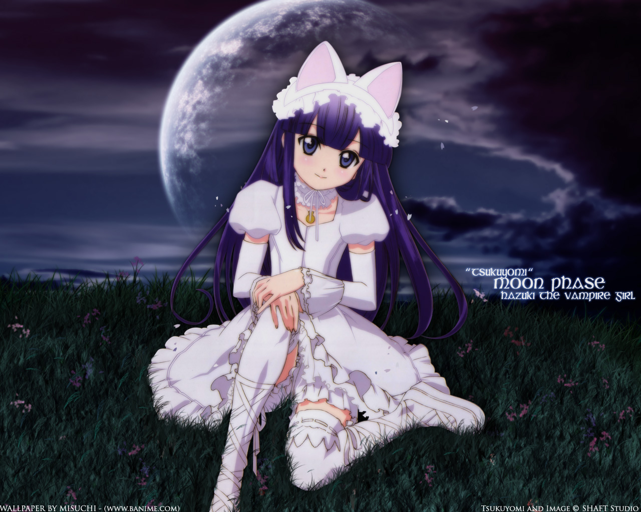 aizawa masahiro, hazuki (tsukuyomi), tsukuyomi moonphase, 00s, 1girl, animal ears, cat ears, copyright name, dress, fake animal ears, female focus, full moon, grass, lolita fashion, looking at viewer, moon, night, sitting, solo, sweet lolita, thighhighs, watermark, white dress