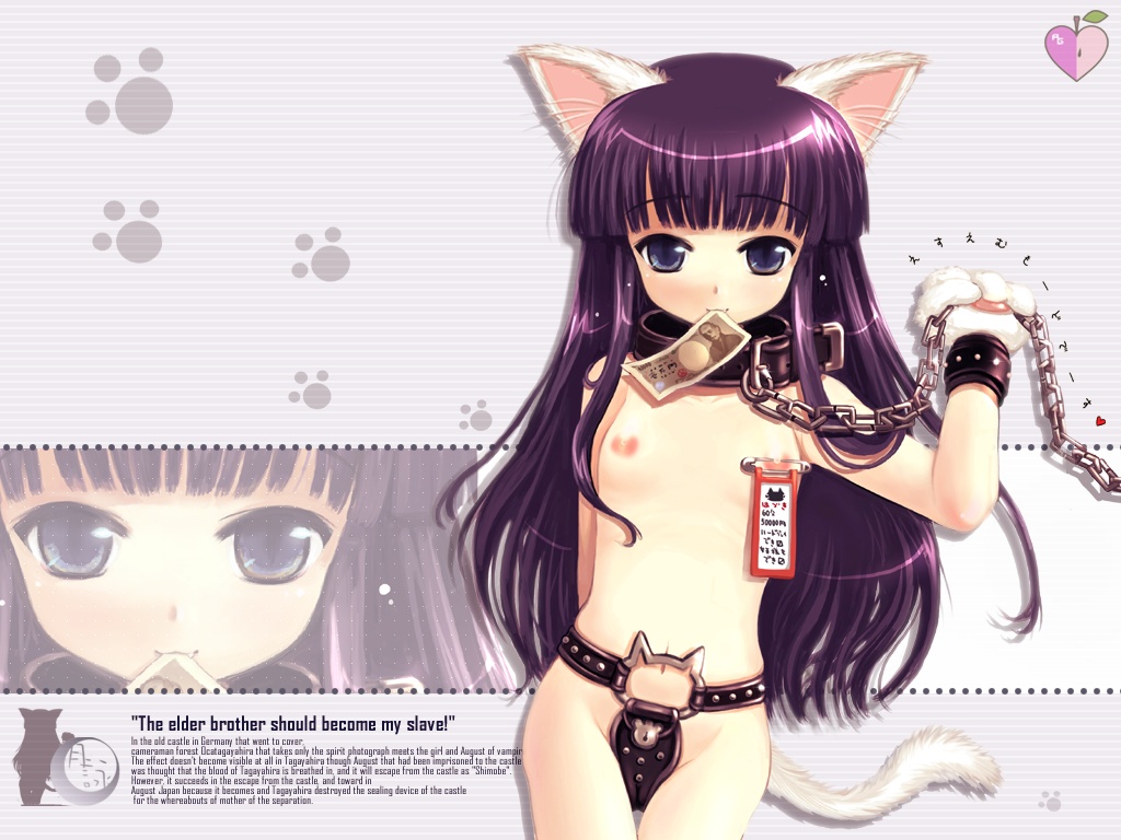 kouguchi moto, hazuki (tsukuyomi), tsukuyomi moonphase, 00s, 1girl, animal ears, bdsm, black collar, blue eyes, bondage, bound, breasts, cat ears, cat tail, chain, chain leash, chastity belt, collar, english text, engrish text, female focus, flat chest, leash, loli, long hair, looking at viewer, money, mouth hold, name tag, navel, nipple piercing, nipple stimulation, nipple tag, nipple torture, nipples, nude, piercing, purple hair, ranguage, safety pin, slave, solo, tail, yen