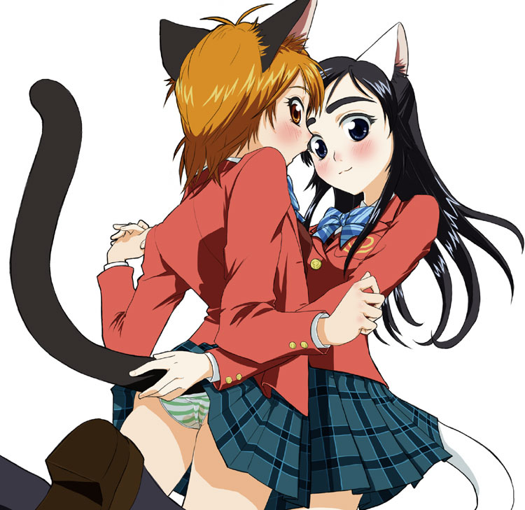 takano saki, misumi nagisa, yukishiro honoka, futari wa precure, precure, striped neckwear, 00s, 2girls, animal ears, ass, black hair, black socks, blue bow, blue eyes, blush, bow, bowtie, brown eyes, brown hair, cat ears, cat tail, green panties, hankaku space, holding, holding another's tail, kemonomimi mode, long hair, looking at viewer, multiple girls, panties, pantyshot, plaid clothes, plaid skirt, pleated skirt, school uniform, serafuku, shoes, short hair, simple background, skirt, socks, striped bow, striped bowtie, striped clothes, striped panties, tail, tail grab, underwear, white background, yuri