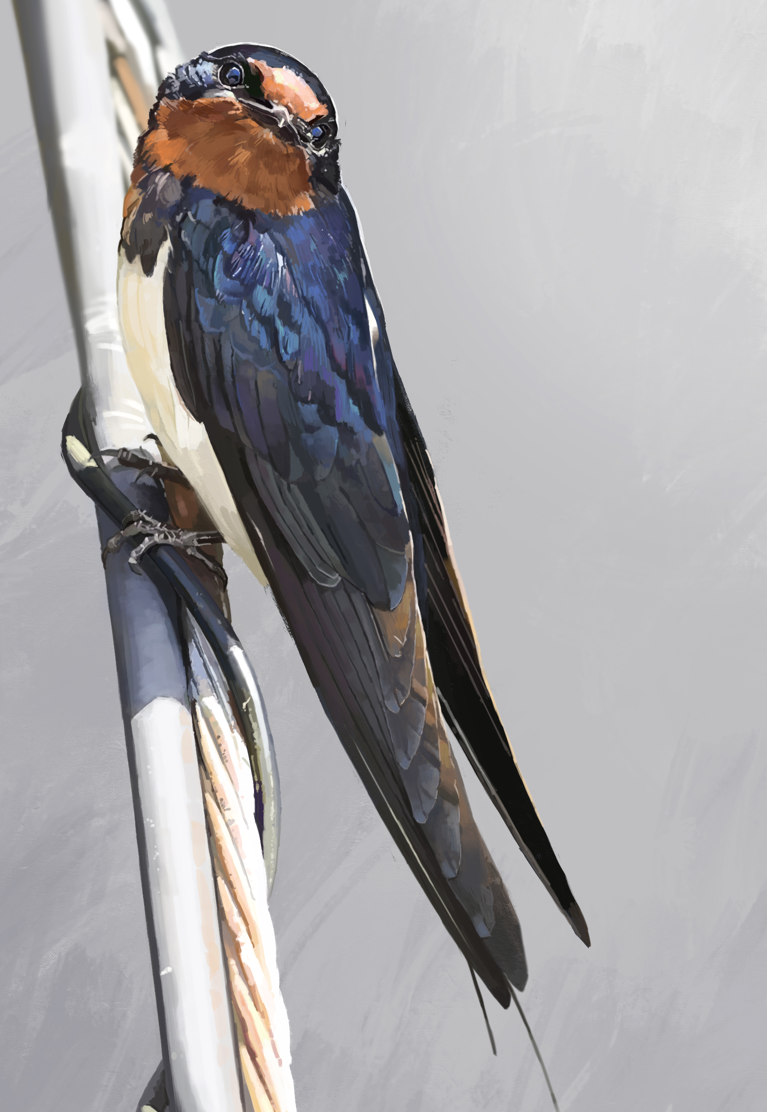 karasu (hageabura-jr), original, highres, animal focus, bird, cable, claws, close-up, grey background, looking at viewer, no humans, photorealistic, realistic, rope