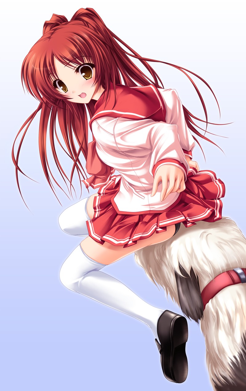 tenmaso, genjimaru, kousaka tamaki, to heart (series), to heart 2, highres, 00s, 1girl, bad anatomy, black panties, bow, dog, female focus, long hair, long sleeves, panties, pantyshot, pleated skirt, red hair, school uniform, serafuku, sitting, sitting on animal, skirt, solo, surprised, thighhighs, twintails, underwear, upskirt, very long hair, white thighhighs