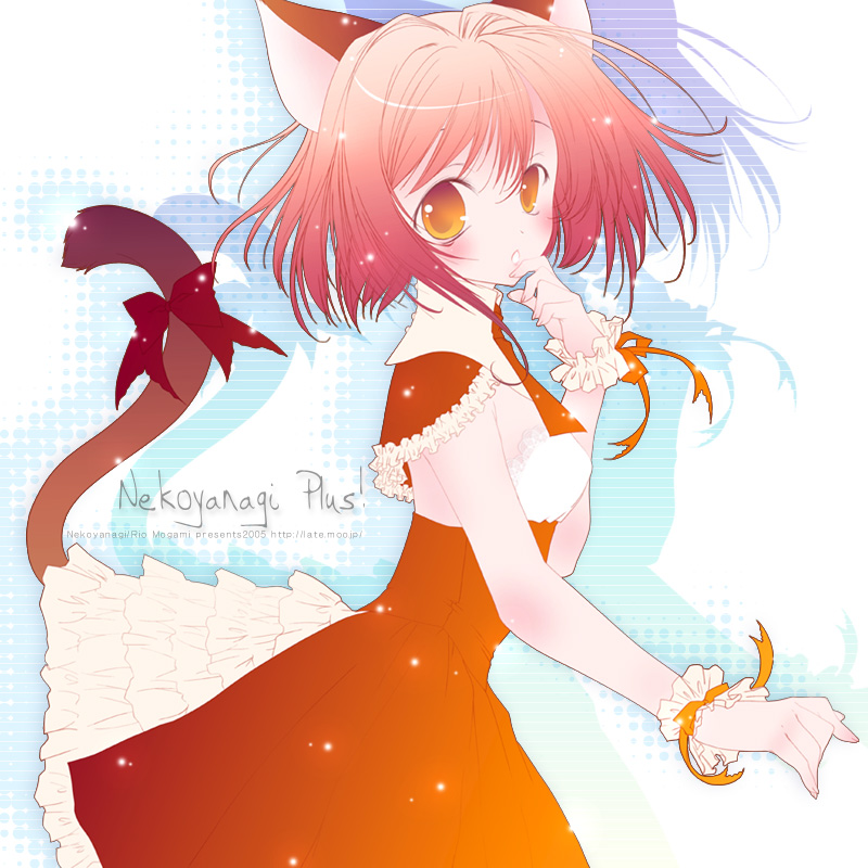 mogami rio, original, tagme, animal ears, cat ears, cat tail, detached collar, solo, tail