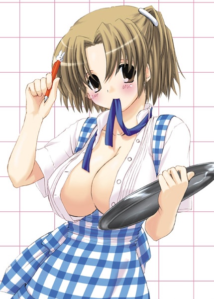 nakajima yuka, textless version, 1girl, apron, blouse, breast on tray, breasts, brown eyes, brown hair, cleavage, female focus, gingham apron, grid background, hair ornament, hairclip, huge breasts, kobeya uniform, mechanical pencil, mouth hold, open clothes, open shirt, pencil, plaid apron, plaid clothes, shirt, short hair, solo, tray, waitress, white shirt