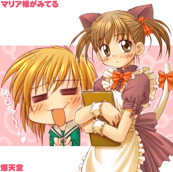 bakutendou, fukuzawa yumi, satou sei, maria-sama ga miteru, 00s, 2girls, animal ears, cat ears, cat tail, maid, multiple girls, tail, waitress, wrist cuffs