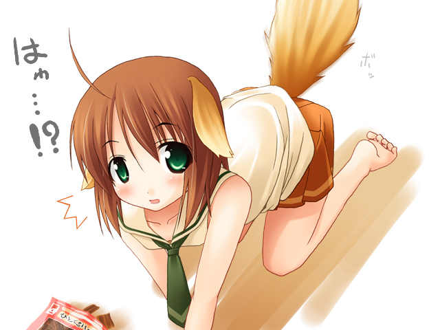 inuarashi, meiko (inuarashi), 1girl, ahoge, all fours, animal ears, barefoot, blush, brown hair, dog ears, feet, female focus, green eyes, school uniform, serafuku, short hair, skirt, soles, solo, tail, toe scrunch, toes