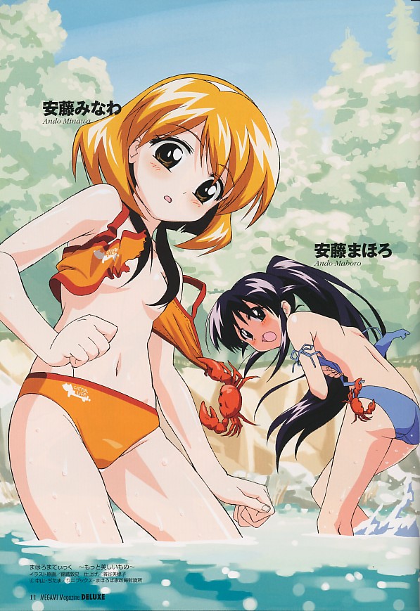 andou mahoro, andou minawa, mahoromatic, 2girls, ass, back, bikini, black hair, blush, breasts, brown eyes, cloud, crab, crustacean, day, multiple girls, ponytail, small breasts, swimsuit, tankini