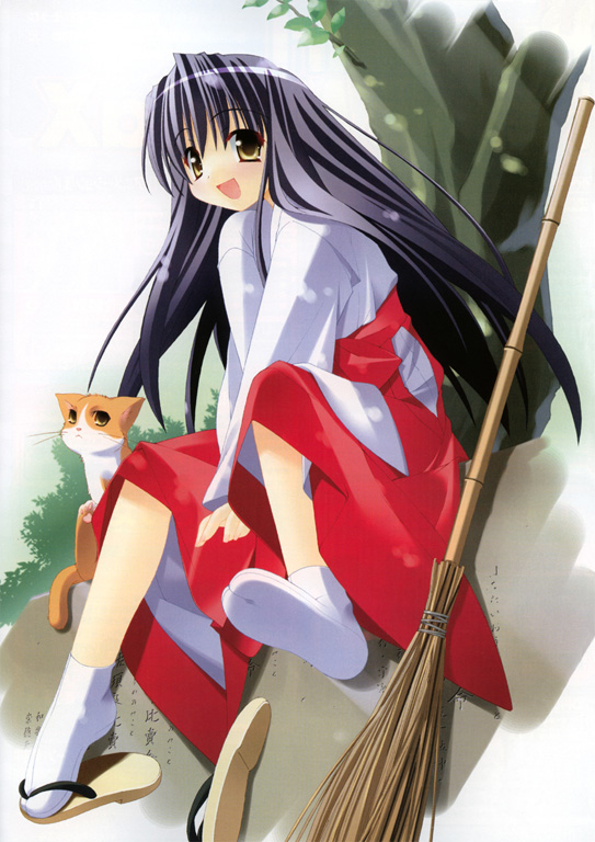 kannagi rei, patissier na nyanko, white legwear, resized, 1girl, animal, bamboo broom, black hair, broom, cat, female focus, hakama, hakama skirt, japanese clothes, long hair, miko, open mouth, red hakama, sandals, shoes, single shoe, sitting, skirt, solo, tabi, tree, yellow eyes, zouri