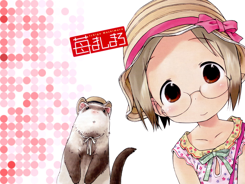barasui, john, sakuragi matsuri, ichigo mashimaro, 1girl, animal, brown eyes, brown hair, child, copyright name, female focus, ferret, glasses, hat, looking at viewer, short hair, solo