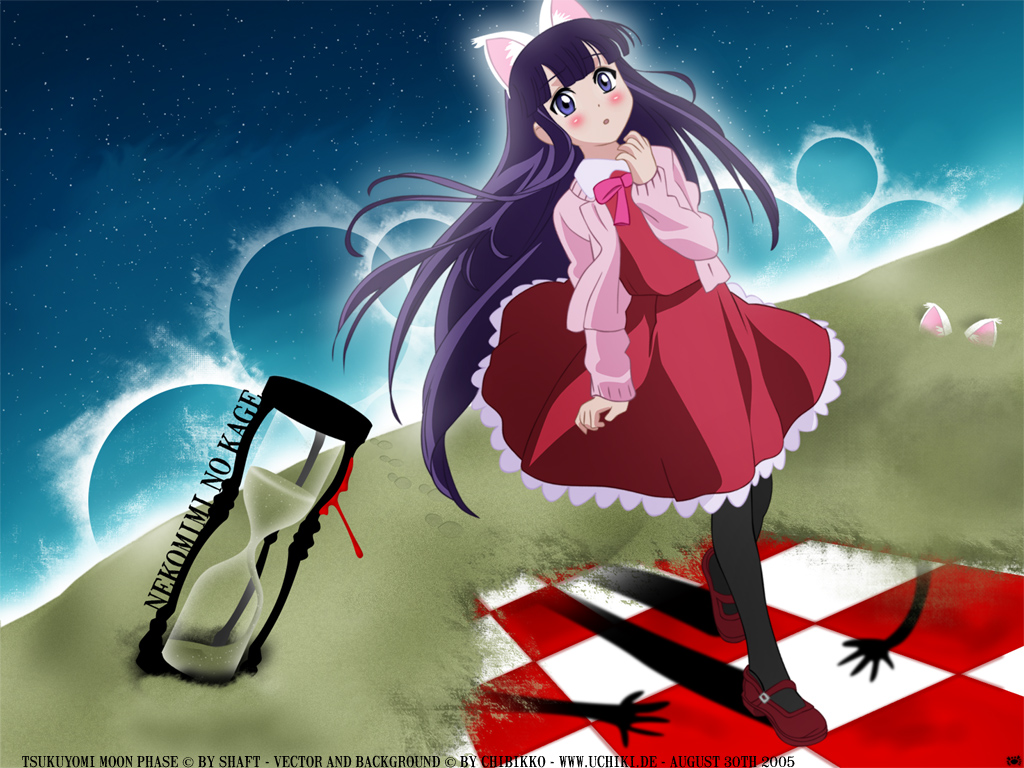 hazuki (tsukuyomi), tsukuyomi moonphase, 00s, 1girl, animal ears, cat ears, female focus, pantyhose, solo