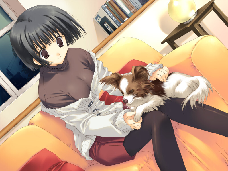mitsumi misato, asou asuna, tenshi no inai 12-gatsu, game cg, 1girl, dog, female focus, long sleeves, pantyhose, petting, solo