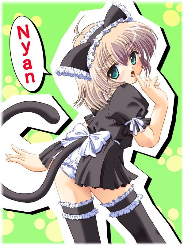 animal ears, black thighhighs, cat ears, cat tail, english text, fake animal ears, frilled thighhighs, frills, maid, nyan, panties, solo, tail, thighhighs, underwear, white panties