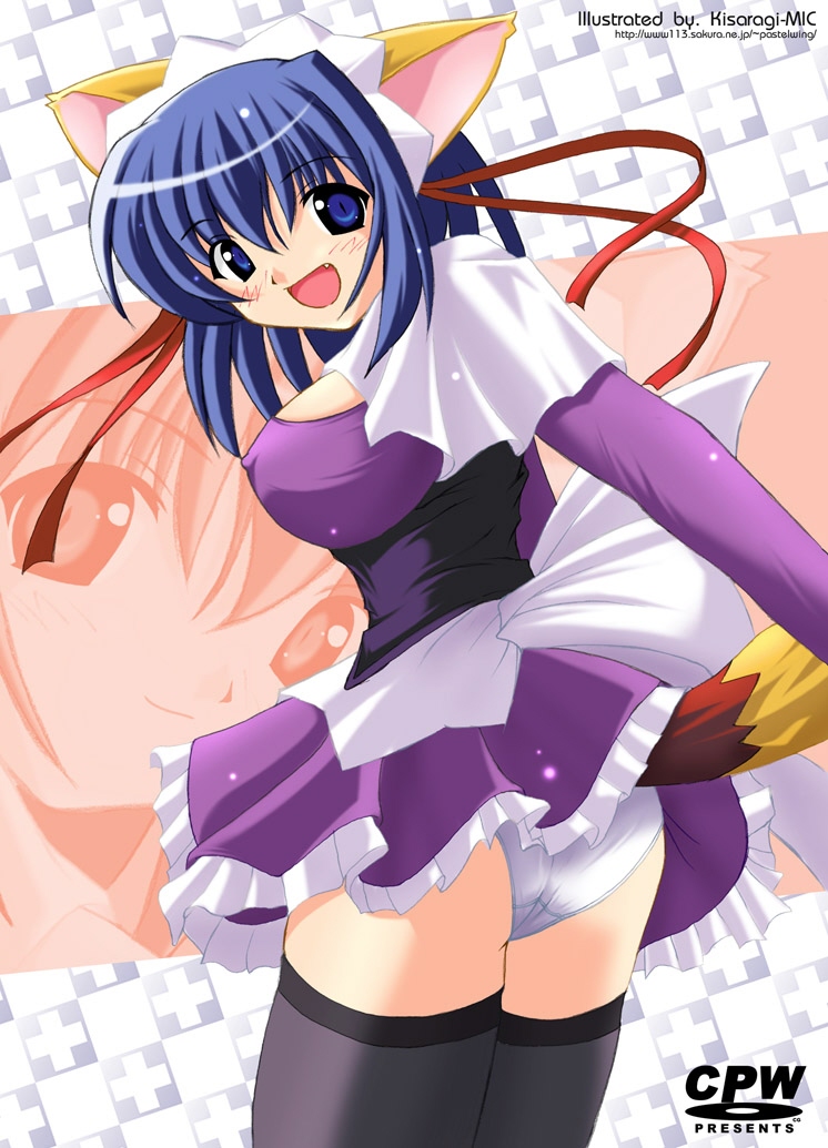 kokubunji koyori, nurse witch komugi-chan, 00s, 1girl, animal ears, ass, black thighhighs, blue eyes, blue hair, blush, breasts, dog ears, dog tail, dress, fang, female focus, frills, hair ribbon, large breasts, looking back, maid, matching hair/eyes, panties, purple skirt, ribbon, short dress, skirt, solo, tail, thighhighs, underwear, white panties