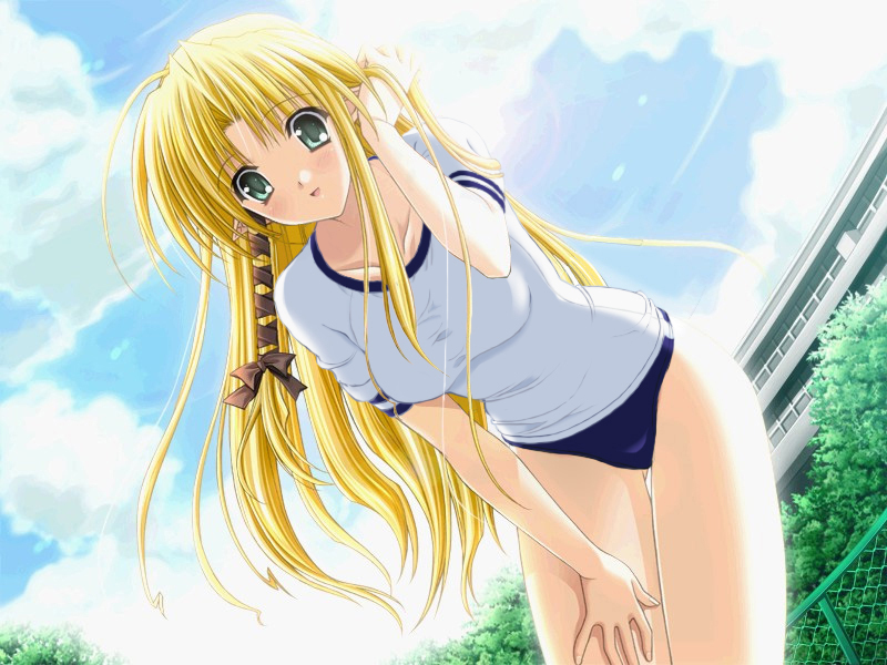 suzuhira hiro, kareha, shuffle!, game cg, 00s, 1girl, blonde hair, blush, braid, buruma, female focus, from below, green eyes, gym uniform, hair ribbon, pointy ears, ribbon, side braid, solo, tress ribbon