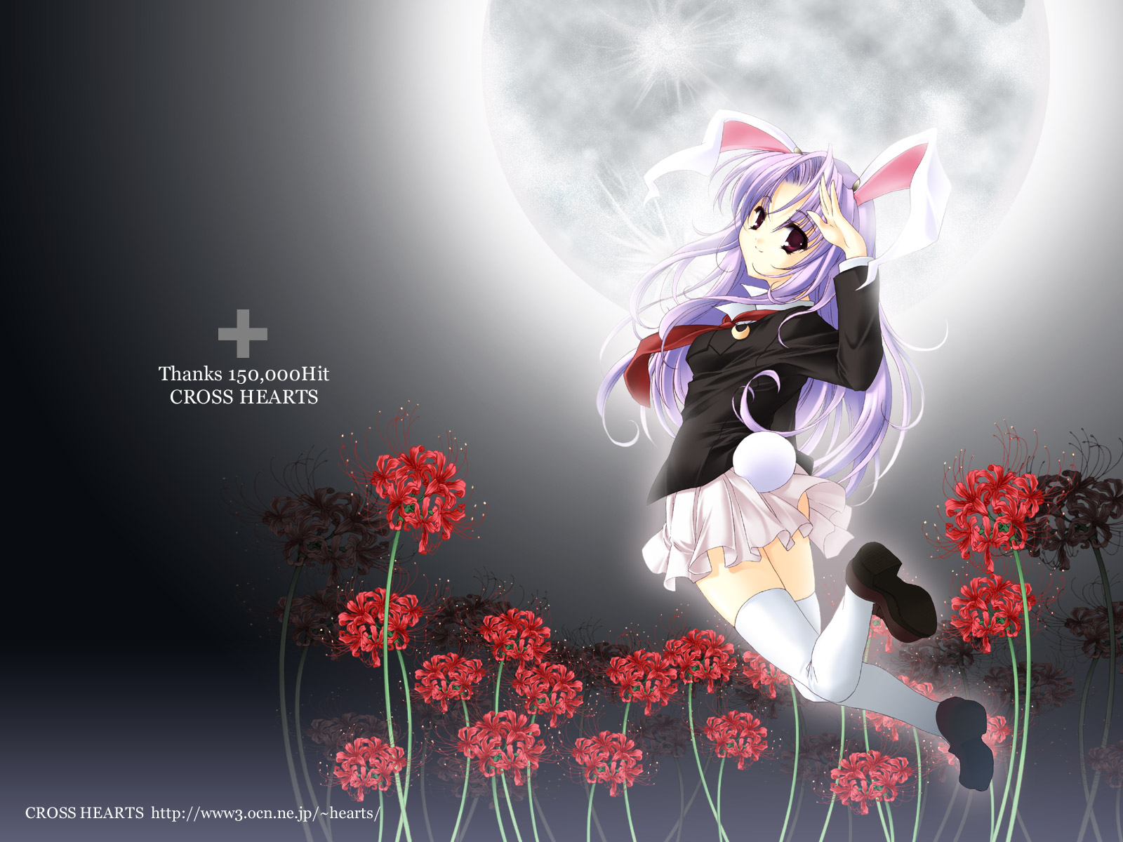 ayase hazuki, reisen udongein inaba, touhou, highres, 1girl, animal ears, female focus, flower, full moon, milestone celebration, moon, purple hair, rabbit ears, rabbit girl, rabbit tail, red flower, solo, spider lily, tail