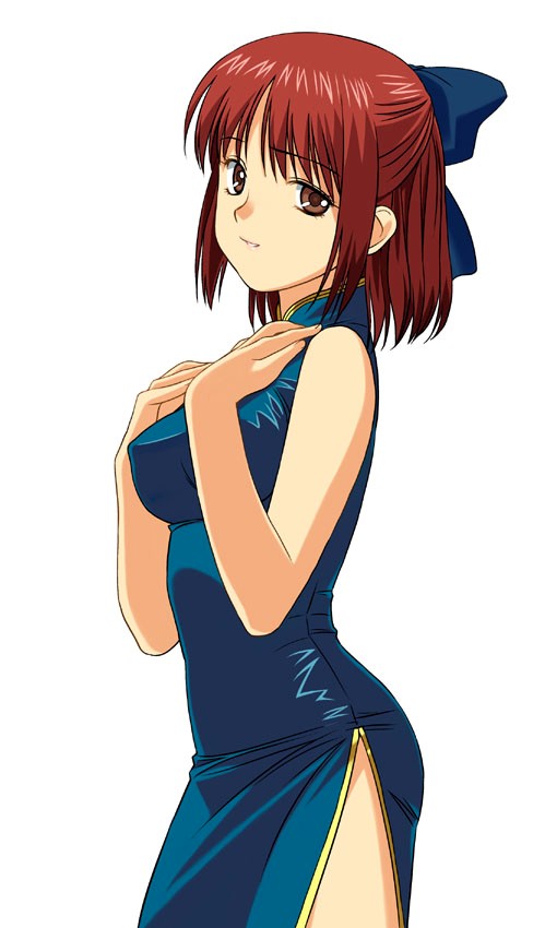 kohaku, mr chin, tsukihime, a1, 1girl, china dress, chinese clothes, short hair, solo