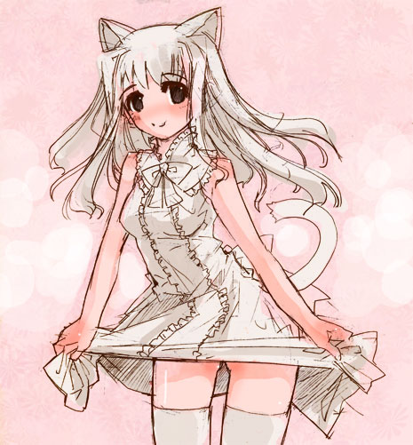 momiji mao, original, 1girl, animal ears, breasts, brown eyes, cat ears, cat tail, clothes lift, female focus, lifting own clothes, skirt, skirt lift, solo, split mouth, tail, thighhighs, white hair, zettai ryouiki