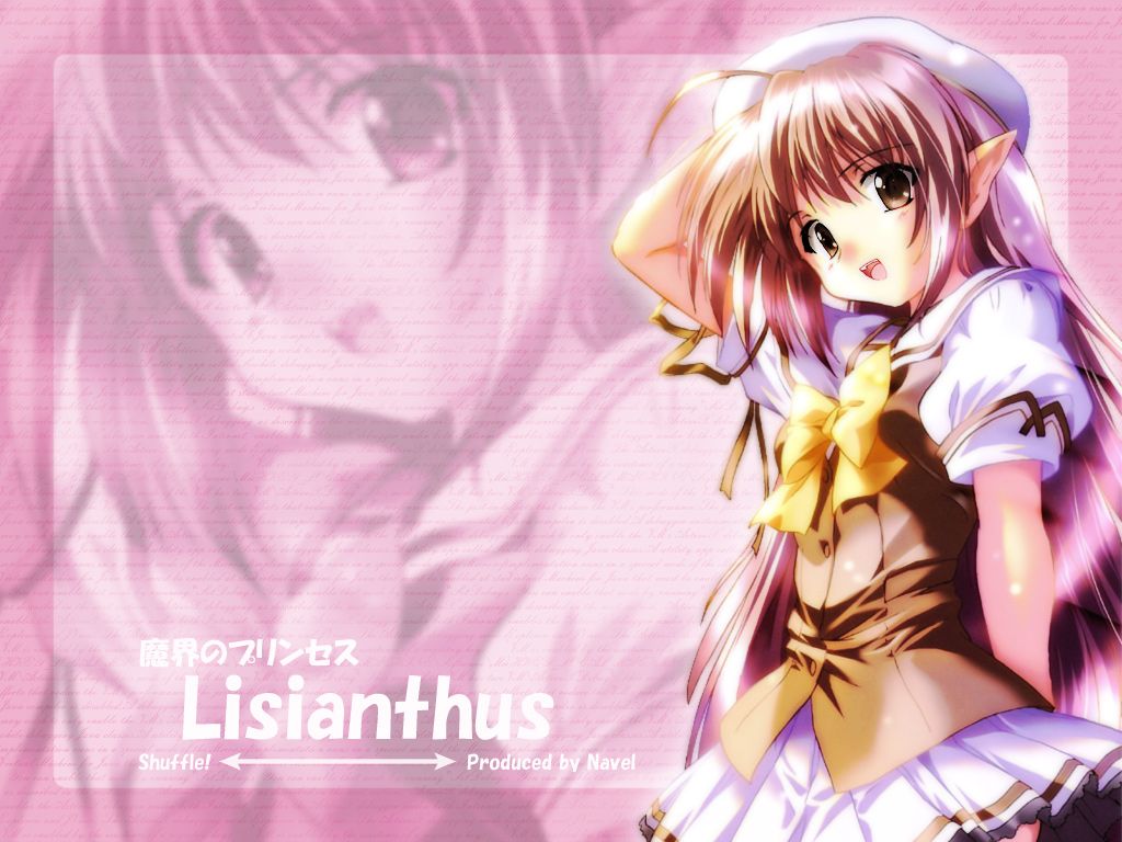 komatsu eiji, lisianthus, shuffle!, 00s, beret, brown eyes, brown hair, hat, long hair, pointy ears, solo