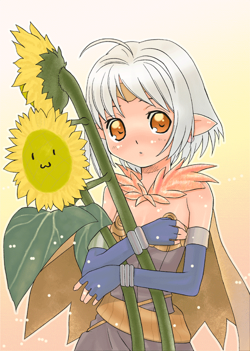 okina ika, alchemist (ragnarok online), ragnarok online, silver hair, 1girl, :3, alchemist, blue gloves, brown background, dark-skinned female, dark skin, female focus, flower, gloves, green background, orange eyes, oversized flower, pointy ears, short hair, simple background, solo, sunflower, white background