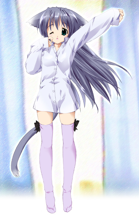 1girl, animal ears, cat ears, cat tail, female focus, long hair, no pants, shirt, solo, tail, thighhighs