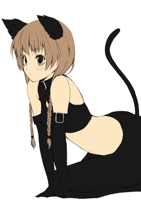 luna (reclaimed land), shimazu yoshino, maria-sama ga miteru, 00s, 1girl, animal ears, blush, braid, brown eyes, brown hair, cat ears, female focus, goth fashion, gothic lolita, lolita fashion, short hair, solo, tail, twin braids