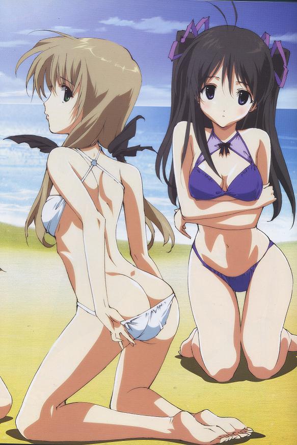 hosoda naoto, sakurazuki yura, shirogane souju, futakoi, jpeg artifacts, 00s, 2girls, ass, bikini, black hair, blue eyes, brown hair, butt crack, cloud, day, kneeling, multiple girls, outdoors, sky, swimsuit, white bikini