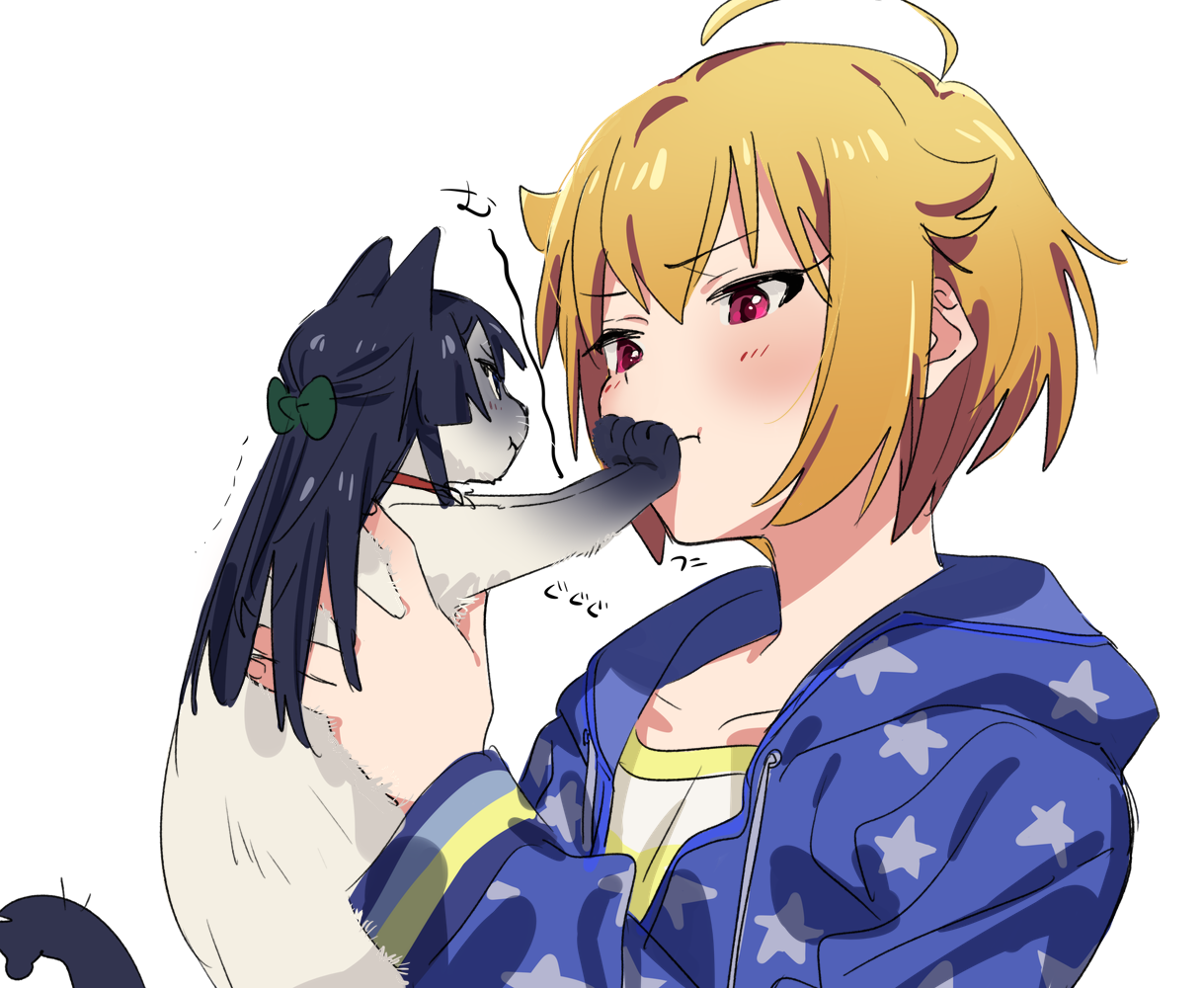 yomosaka, ibuki tsubasa, mogami shizuka, idolmaster, idolmaster million live!, 1girl, ahoge, animal, animalization, black hair, blonde hair, blue jacket, blush, bow, cat, closed mouth, green bow, grey cat, hair bow, hair flaps, holding, holding animal, holding cat, hood, hooded jacket, jacket, long hair, long sleeves, looking at animal, pink eyes, pout, short hair, simple background, upper body, white background