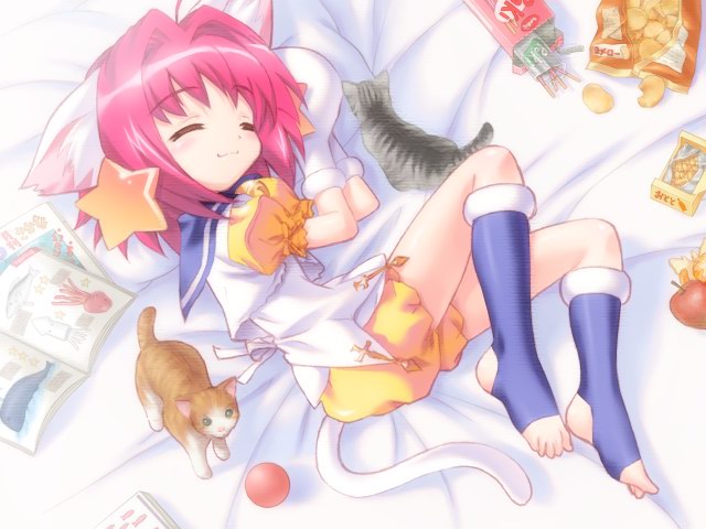 mutsumi masato, lisha anos, dalk gaiden, game cg, 1girl, animal ear fluff, animal ears, apple, barefoot, book, cat, cat ears, cat tail, closed eyes, feet, female focus, food, fruit, head on pillow, loli, lying, on side, pillow, pink hair, pocky, red hair, short hair, sleeping, smile, solo, star (symbol), tail, toeless legwear