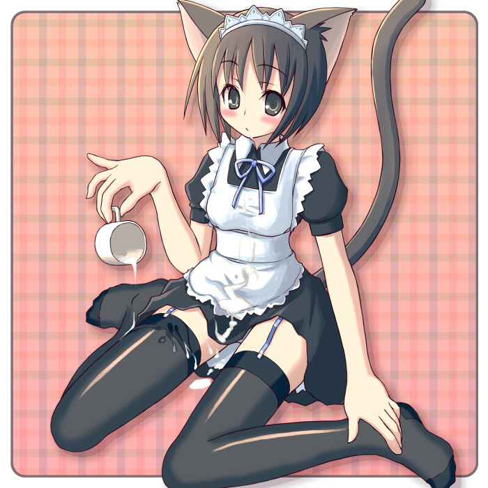 animal ears, cat ears, cat tail, garter belt, maid, maid headdress, solo, tail, thighhighs