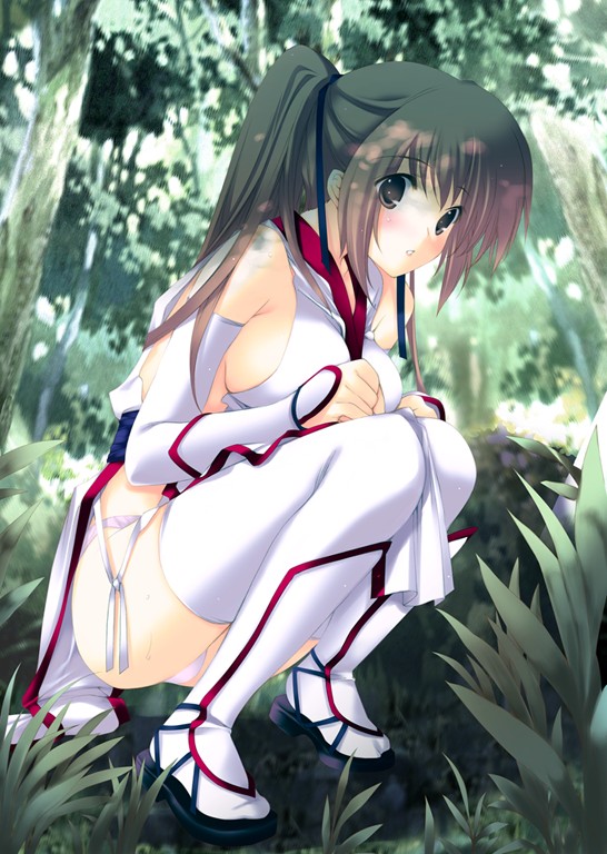 iizuki tasuku, kasumi (doa), dead or alive, tecmo, 1girl, bare shoulders, blush, breasts, brown eyes, brown hair, day, elbow gloves, expressionless, female focus, forest, geta, gloves, grass, hair ribbon, long hair, looking at viewer, nature, outdoors, panties, pelvic curtain, ponytail, ribbon, sash, sideboob, solo, squatting, thighhighs, underwear, white gloves, white thighhighs