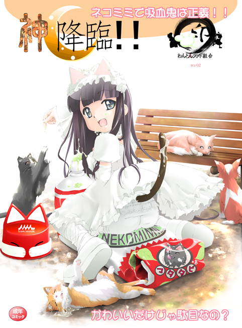komame (wanton), hazuki (tsukuyomi), tsukuyomi moonphase, 00s, 1girl, animal ears, cat, cat ears, cat tail, condensed milk, female focus, milk, solo, tail