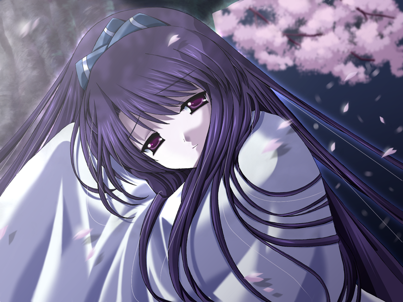nanao naru, konomiya tamaki, da capo, da capo i, game cg, source request, 00s, 1girl, cherry blossoms, female focus, hair ribbon, head tilt, long hair, looking at viewer, night, petals, purple eyes, purple hair, ribbon, smile, solo, tree, very long hair, wide sleeves