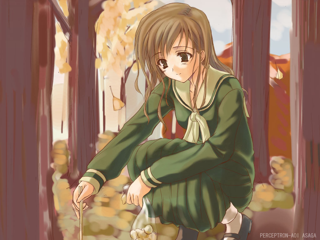 asaga aoi, toudou shimako, maria-sama ga miteru, 00s, 1girl, autumn, brown eyes, brown hair, chopsticks, day, female focus, ginkgo tree, leaf, long hair, long skirt, looking down, mary janes, nature, outdoors, school uniform, serafuku, shoes, skirt, smile, solo, squatting, tree, wavy hair