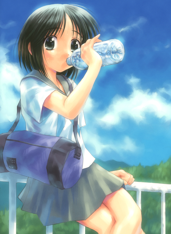 goto p, 1girl, bag, black eyes, black hair, bottle, cloud, day, drinking, duffel bag, female focus, pinky out, pleated skirt, school uniform, serafuku, short hair, skirt, sky, solo, water bottle