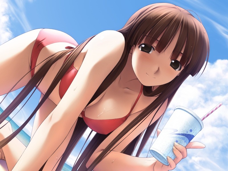 hashimoto takashi, hiiragi ayumi, white breath, duplicate, game cg, 1girl, beach, bikini, blush, breasts, brown eyes, brown hair, cleavage, cloud, cup, day, disposable cup, female focus, kneeling, long hair, outdoors, red bikini, sexually suggestive, solo, string bikini, swimsuit