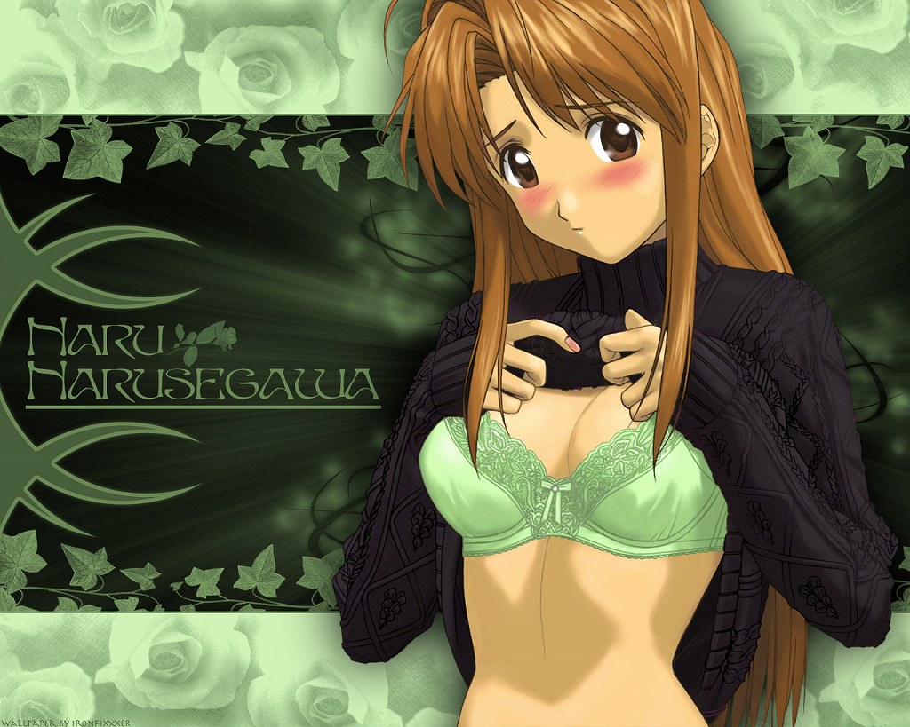 narusegawa naru, love hina, 1girl, blush, bra, breasts, brown eyes, brown hair, character name, cleavage, clothes lift, female focus, flower, green flower, green rose, lingerie, long hair, medium breasts, red hair, rose, shirt lift, solo, sweater, turtleneck, underwear