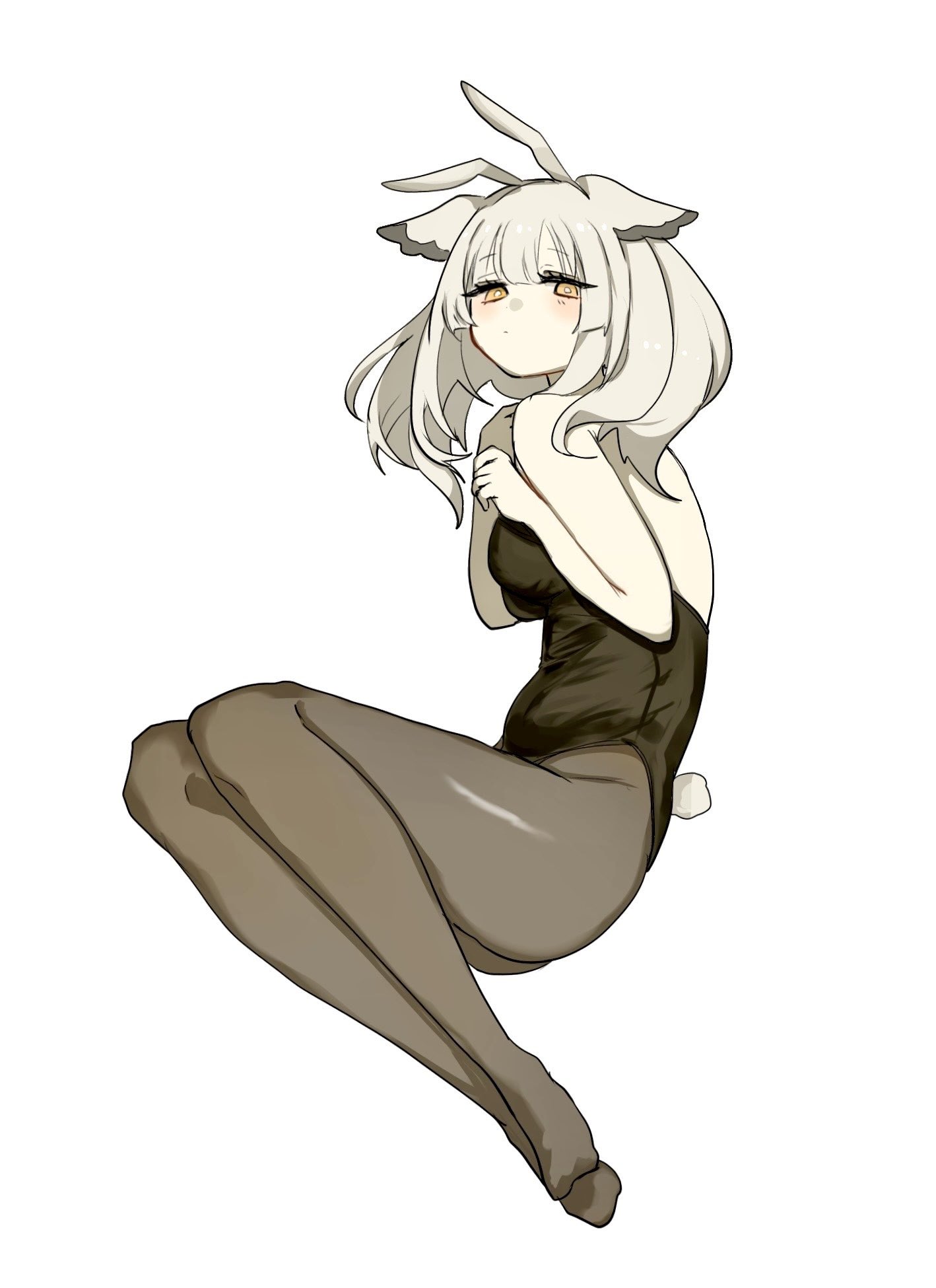 renka (renxka), ptilopsis (arknights), arknights, commentary request, highres, 1girl, alternate costume, animal ears, bare shoulders, bird girl, black leotard, black pantyhose, breasts, fake animal ears, fake tail, feather hair, grey hair, leotard, long hair, looking at viewer, medium breasts, orange eyes, owl ears, owl girl, pantyhose, playboy bunny, rabbit ears, rabbit tail, simple background, solo, tail, white background